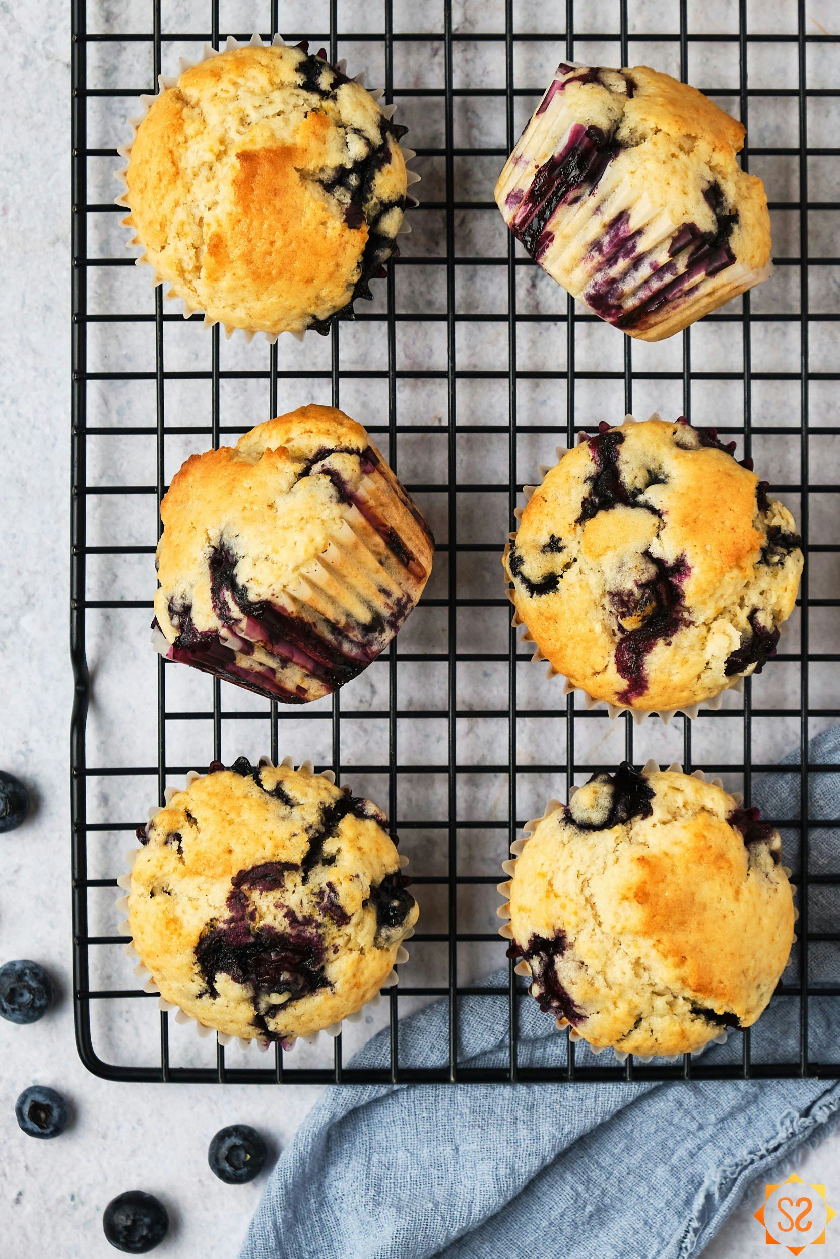 Vegan blueberry muffins on a wire rack, with blueberries to the side.