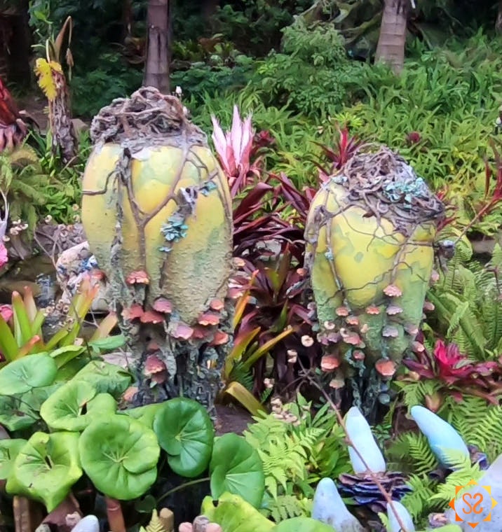 Two vein pods surrounded by other plant life at Disney's Pandora
