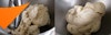 On the left, an image of the ravioli dough in a stand mixer with paddle attachment before kneading; on the right is the dough after being kneaded with the dough hook