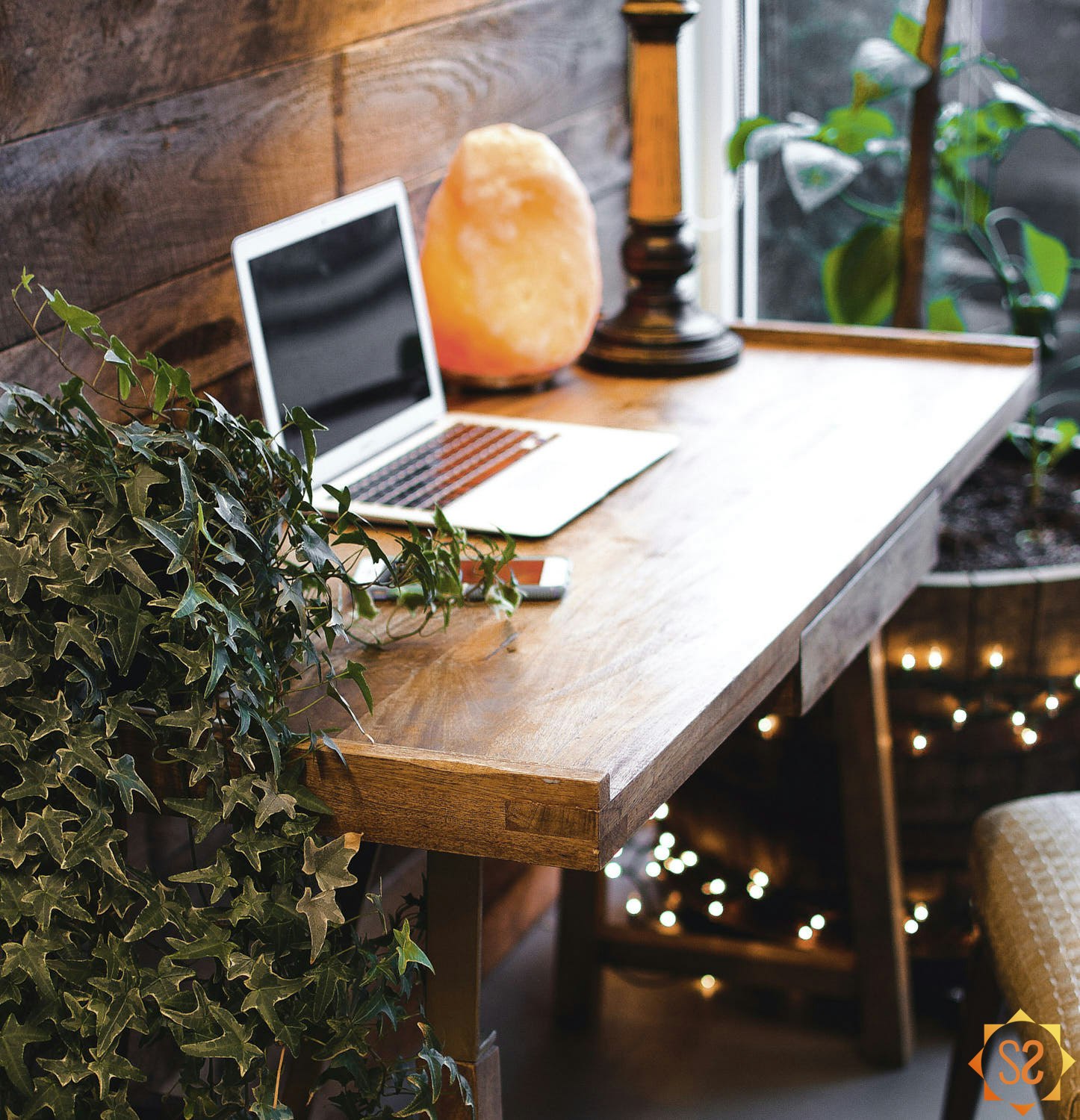 A desk in a home office with a laptop, plant, and light.